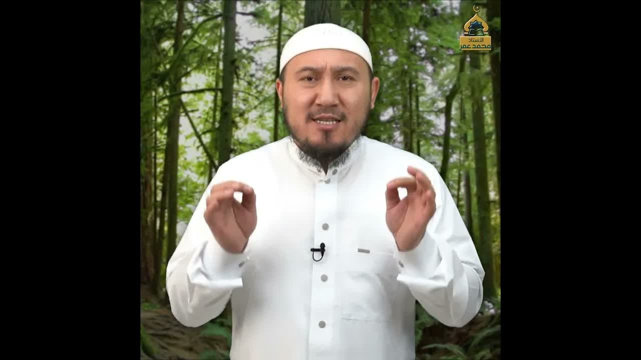 O'gitlar