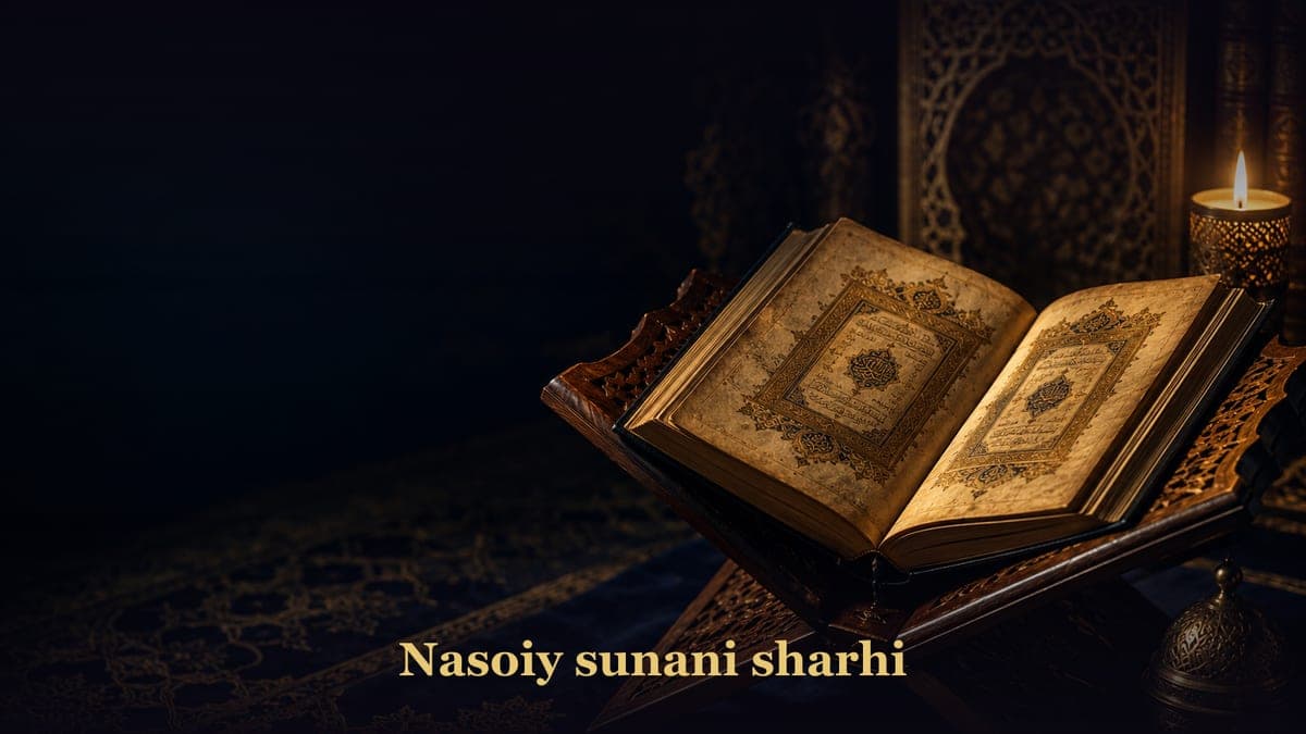 Nasoiy sunani sharhi