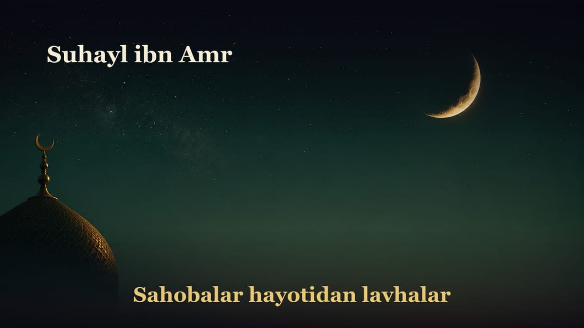 Suhayl ibn Amr