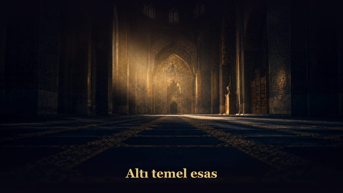 Altı temel esas - Metin