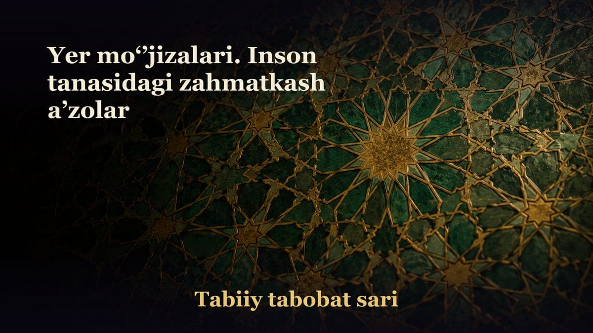Yer mo‘’jizalari. Inson tanasidagi zahmatkash a’zolar