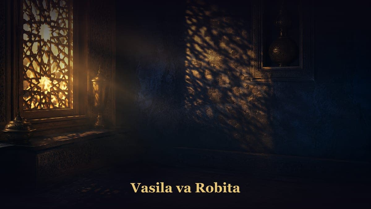 Vasila va Robita - Haqida