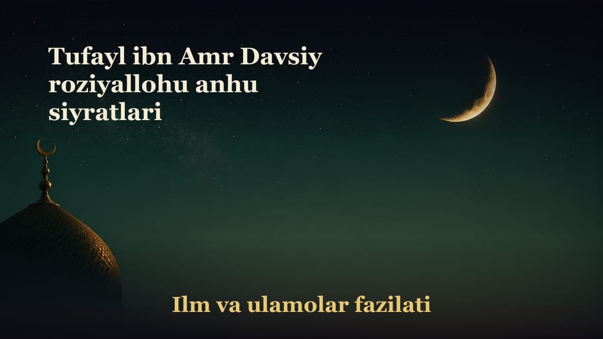 Tufayl ibn Amr Davsiy roziyallohu anhu siyratlari