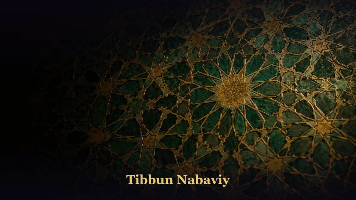 Tibbun Nabaviy
