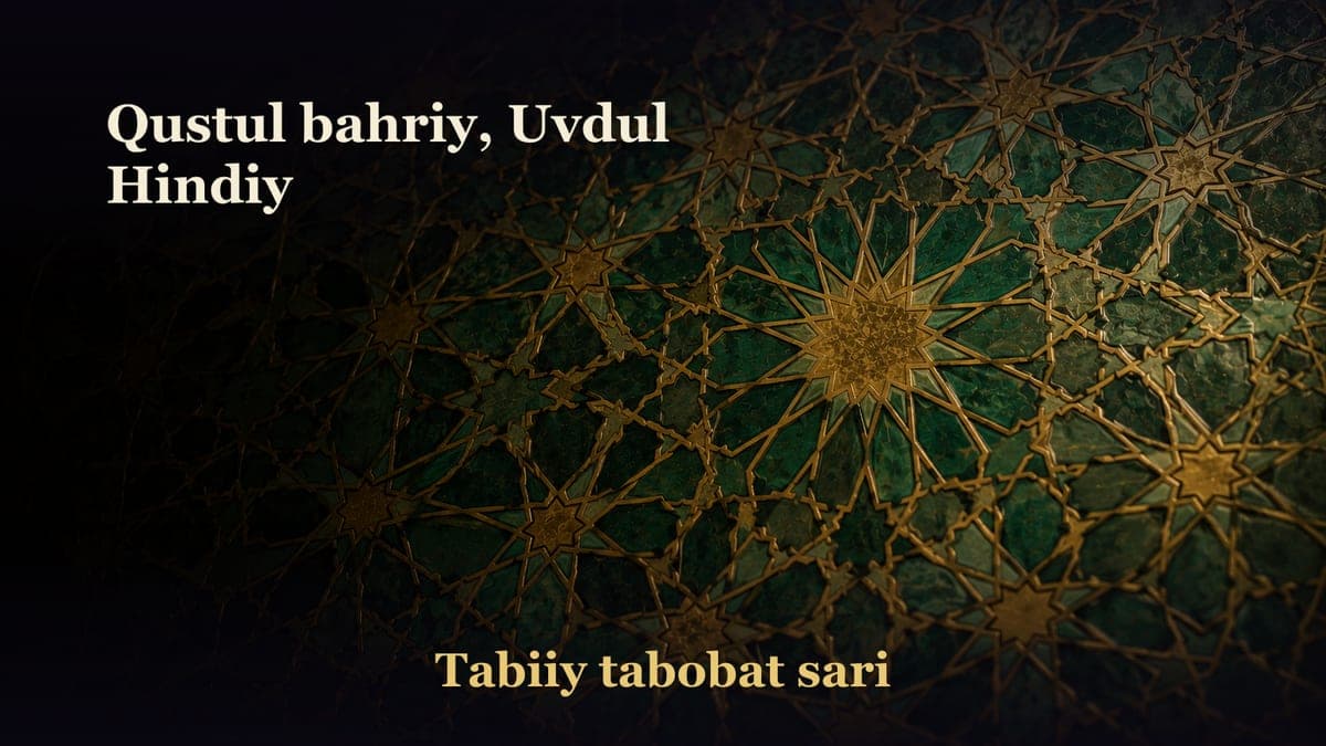 Qustul bahriy, Uvdul Hindiy