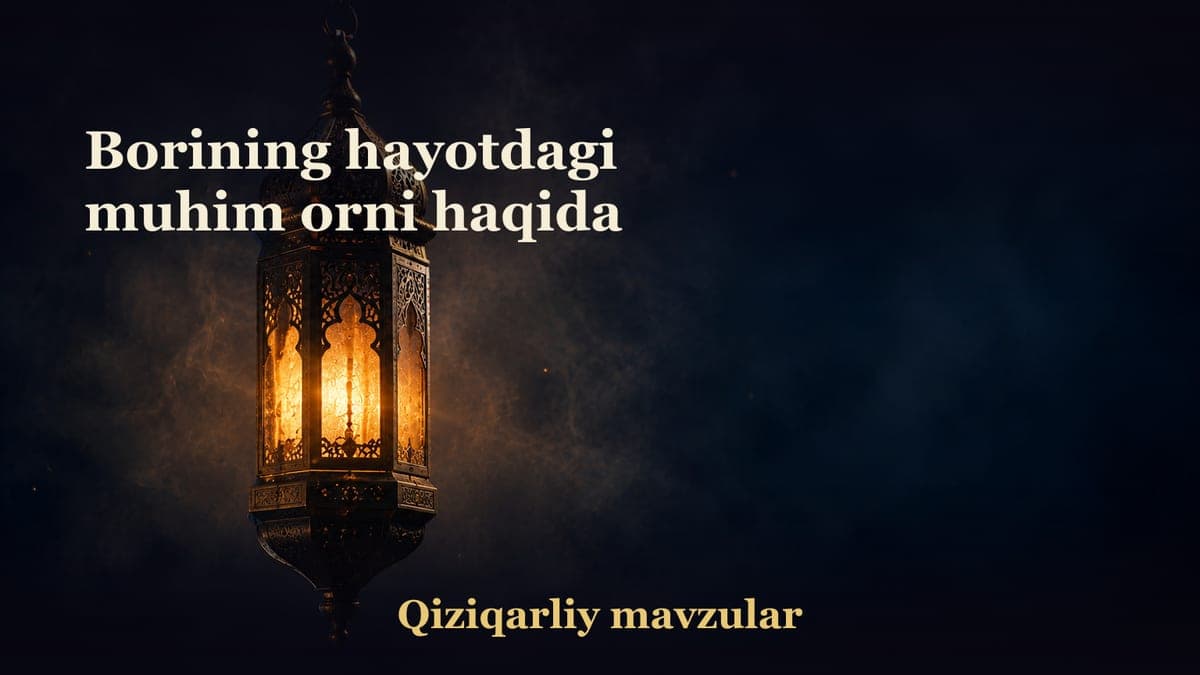 Borining hayotdagi muhim orni haqida