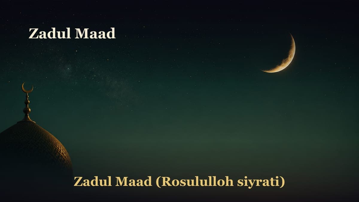 Zadul Maad