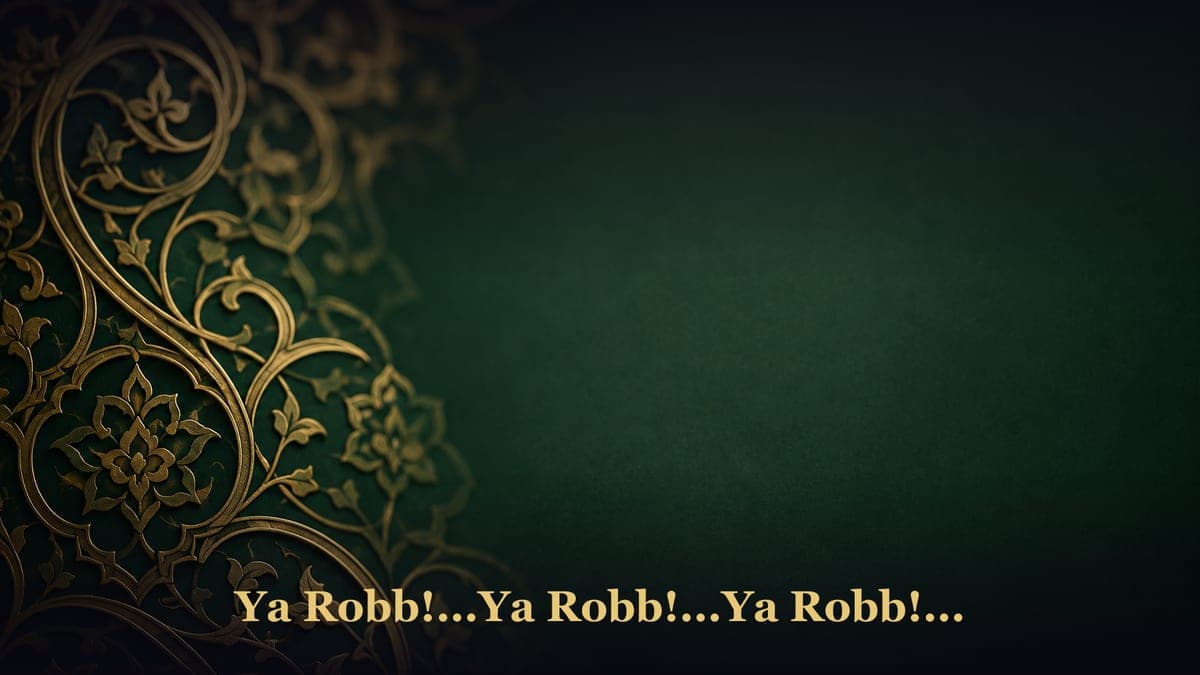 Ya Robb!...Ya Robb!...Ya Robb!...