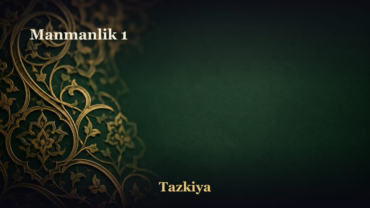 Manmanlik 1